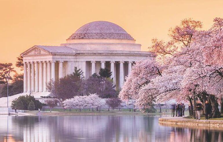 Cherry Blossom Peak Bloom Is March 23rd -26th