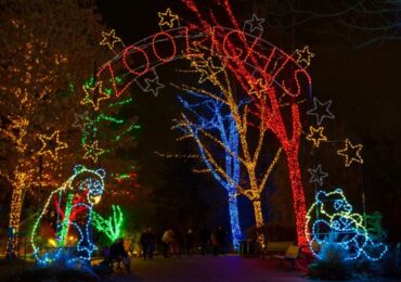 The Smithsonian’s National Zoolights Is Back And It's Free