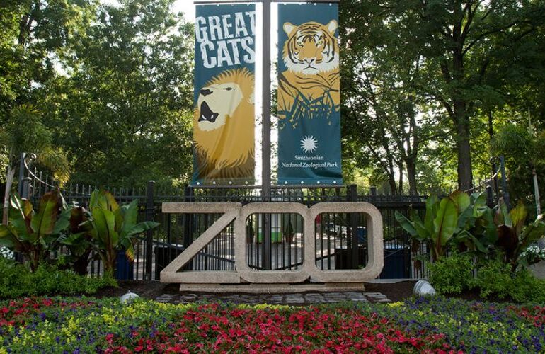 Smithsonian's National Zoo's Has A New Resident
