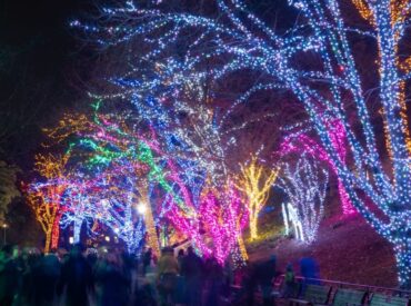The Smithsonian’s National Zoolights Is Back