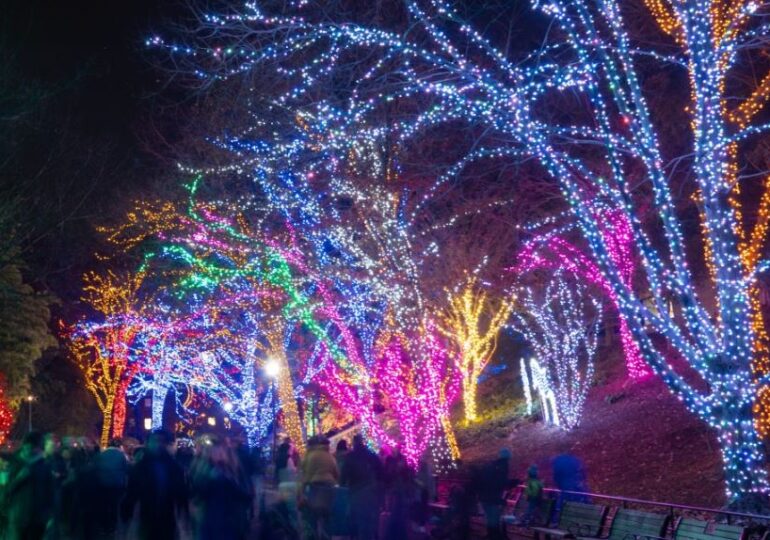 The Smithsonian’s National Zoolights Is Back